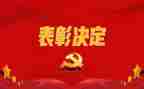 受表彰的发言稿范文5篇