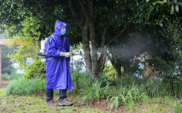 县病媒生物防制工作计划推荐6篇