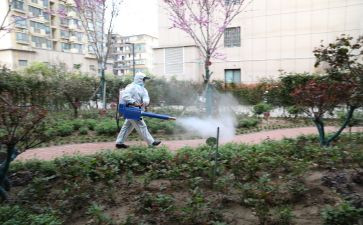 县病媒生物防制工作总结8篇