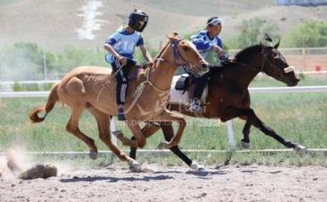 比赛优秀作文参考5篇