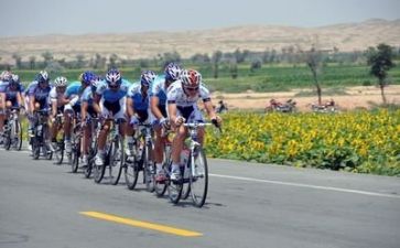 2024年比赛作文精选8篇