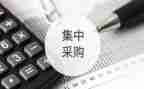 采购年终工作总结模板5篇