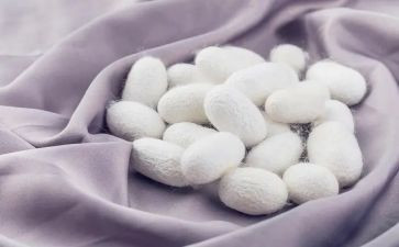 蚕故事读后感通用8篇