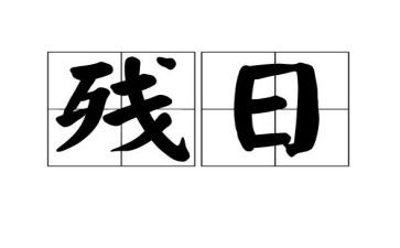 助残日主题活动总结6篇