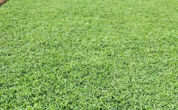 本草纲目读后感8篇