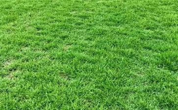 烟草公司心得体会7篇