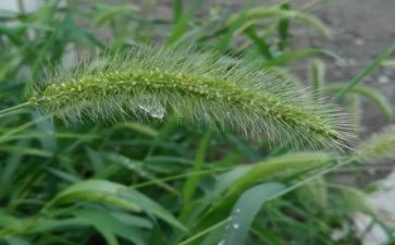 烟草客户工作总结5篇