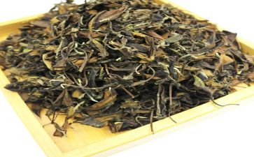 茶专业自我鉴定优质6篇