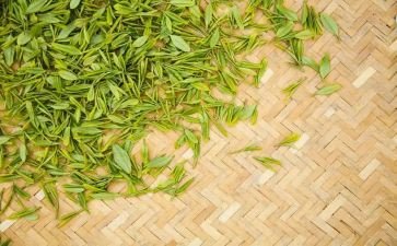 5.1奶茶店活动方案8篇