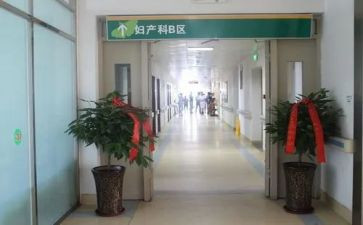 产科护士长工作计划7篇