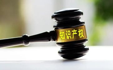 知识产权庭工作总结8篇