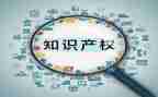 知识产权的心得6篇