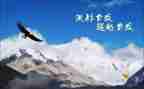 超越自己,作文5篇