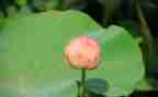 写成长类作文600字优质6篇