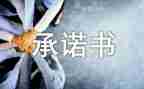 2024消防安全承诺书参考8篇