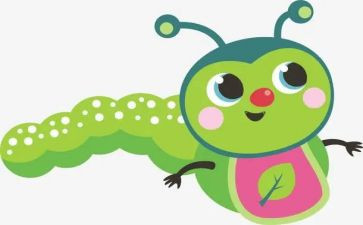 养昆虫的教案优秀5篇