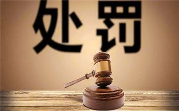 降处分申请书推荐7篇