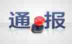 申请处分的申请书模板5篇
