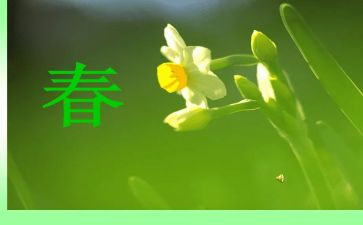 春季运动会作文400字8篇