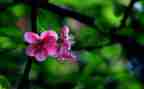春节促销活动策划7篇