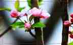 春节策划活动方案范文5篇
