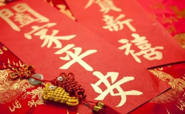 难忘的除夕夜作文500字7篇
