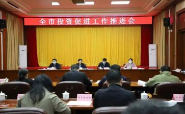 投资促进局工作总结5篇