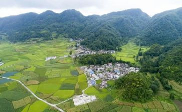 村文化工作计划精选8篇