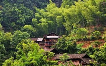 村2023年度工作计划精选8篇
