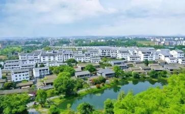 2023年村干部工作计划最新8篇