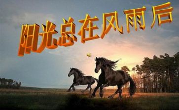 挫折的作文素材600字6篇