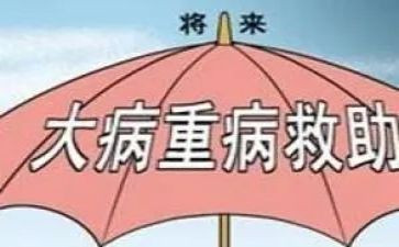 大病医疗申请补助申请书6篇
