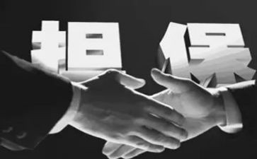 担保公司述职报告8篇