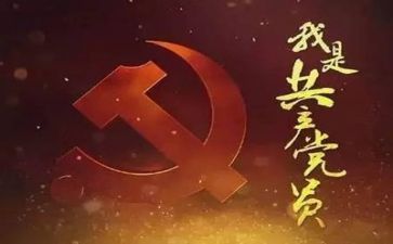 2023年度党组工作计划6篇