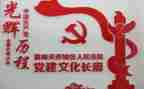 乡村振兴党建工作汇报5篇