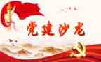 做党建工作的个人总结6篇