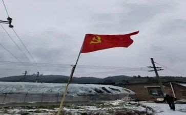 党员转正发申请书7篇