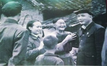 邓子恢调查报告参考8篇
