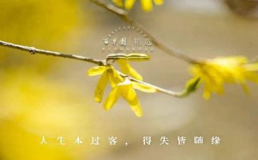 网课的得与失演讲稿7篇