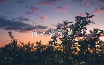 高一的得与失演讲稿精选5篇