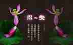 得与失演讲稿600字参考8篇