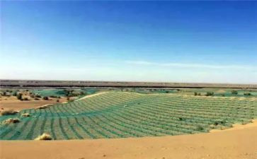 关于地震读后感7篇