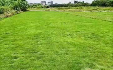 房地产销售年度工作总结最新8篇