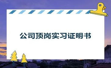 顶岗实习报告总结精选8篇