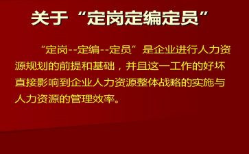 定岗前的工作总结5篇