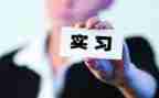 顶岗实习报告总结参考8篇