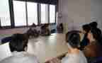 顶岗实习报告总结8篇