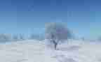 冬天写景300字作文8篇