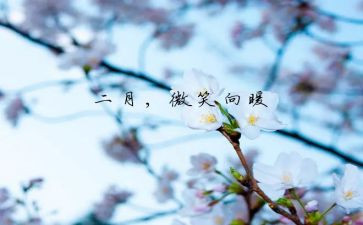 二月的工作总结参考6篇