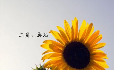 2023年二月工作计划7篇